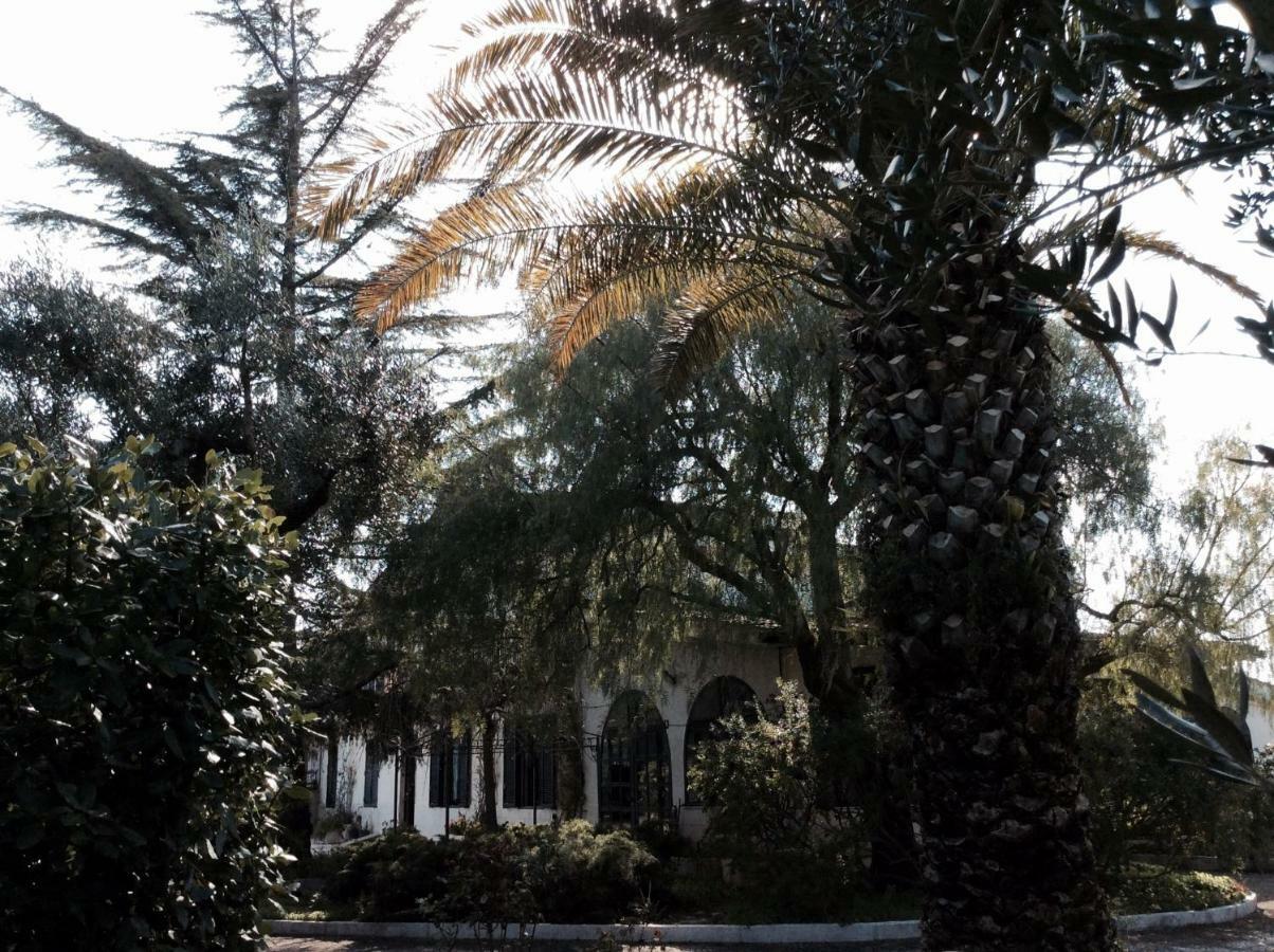 Paradiso In Campagna Triggianello Exteriér fotografie